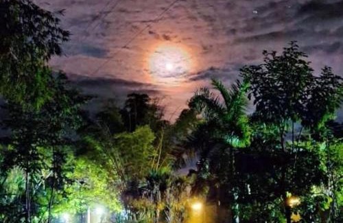 Huautlco Other | Camping Jardín Botánico Herbolario HUMAR