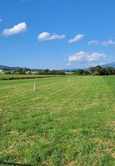 Pausendorf Other | Camping Kaltenbrunner 64m2 Stellfläche
