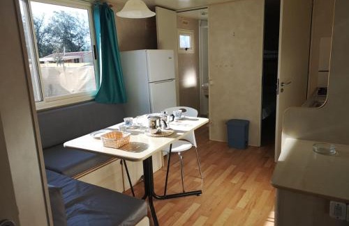 Viareggio Other | Camping Paradiso