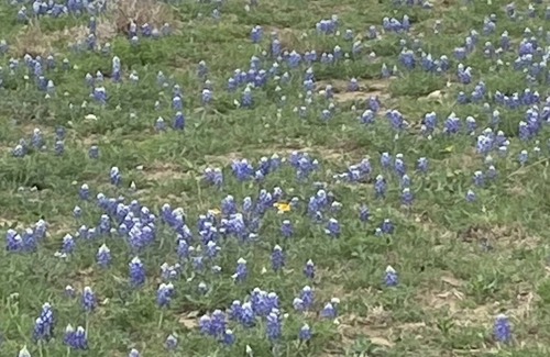 Llano RV Rental | Camping! Solar eclipse! Bring your tent! Llano TX