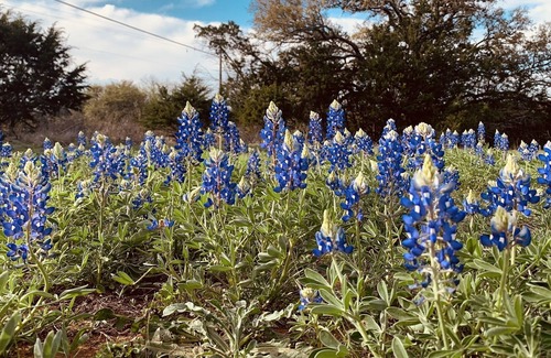 Llano RV Rental | Camping! Solar eclipse! Bring your tent! Llano TX