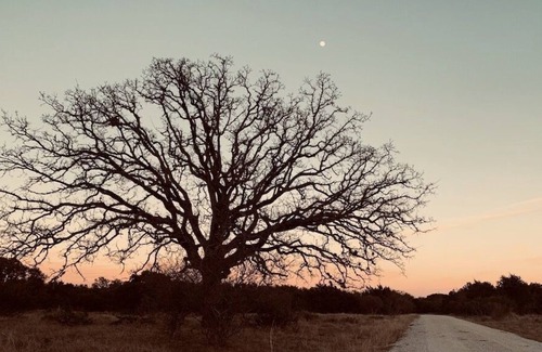 Llano RV Rental | Camping! Solar Eclipse. BRING YOUR OWN TENT!