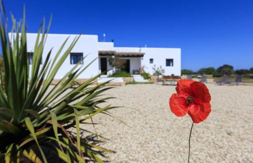 Formentera House | Can Coques