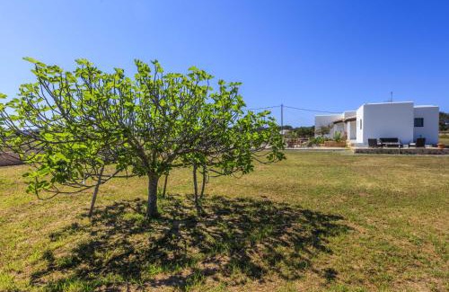 Formentera House | Can Coques
