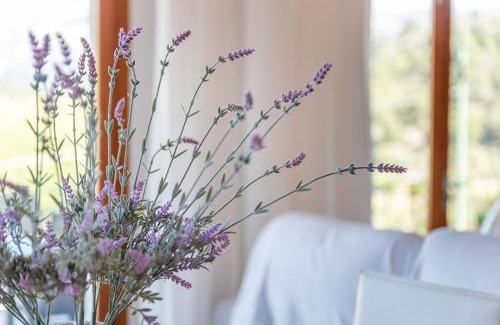 Soller Apartment | Can Joi 12