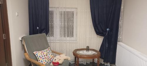 Suceava House | Casă particulară