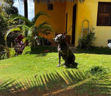 Itacare House | Casa Amar'ela com charme e vistas incriveis !