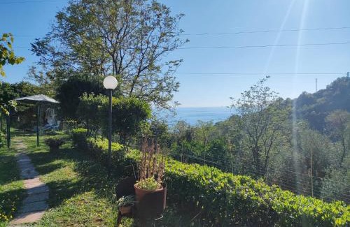 Cavi House | Casa Besansa