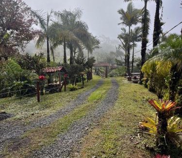 Quebrada La Gamba House | Casa Bromelia