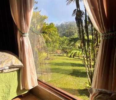 Quebrada La Gamba House | Casa Bromelia