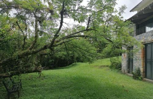 Xilitla Bed & Breakfast | Casa Camino a las Pozas