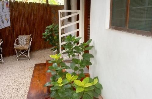 Nungwi Villa | Casa Carlotta & Villa