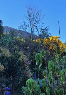 Tiradentes Apartment | Casa Cor Tiradentes