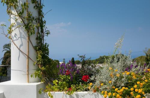 Anacapri Bed & Breakfast | Casa Cristina