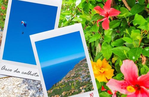 Calheta House | Casa da Achada in Arco da Calheta