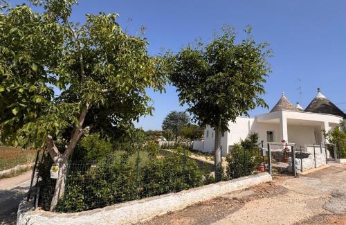 Selva di Fasano Apartment | Casa Daniel