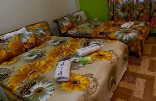 Alaminos House | Casa de Flores