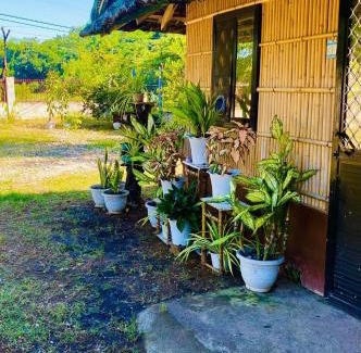 Alaminos House | Casa de Flores