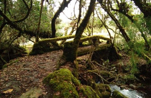 Guasca House | Casa de piedra El Colibrí