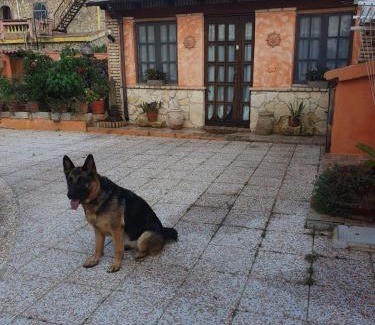 Quartu Sant'Elena House | Casa Elisa