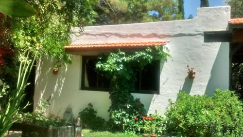 Lujan de Cuyo House | Casa en Luján de Cuyo con pileta