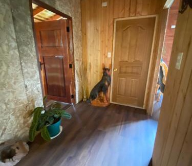 Futrono House | Casa familiar