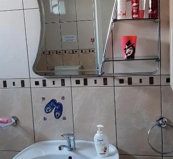 Curtea De Arges Apartment | Casa Florilor