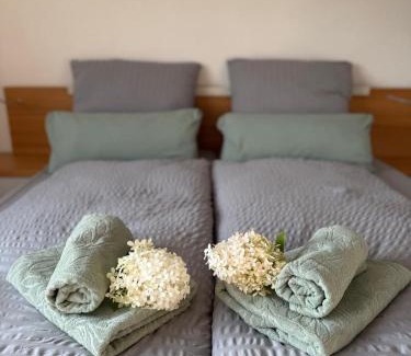 Ettenheim House | Casa Hortensia