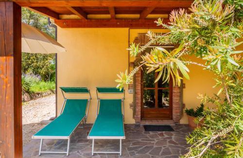 Gavorrano Apartment | Casa Le Basse - Vetulonia