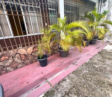 Belem Villa | Casa no Coração do Parque Utinga