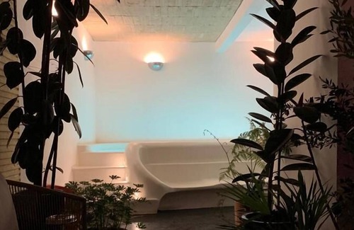 Colonia Cuauhtemoc House | Casa Pani