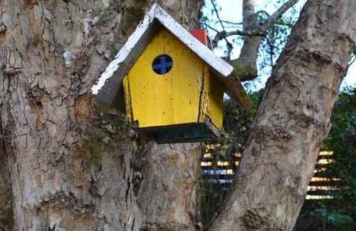 Jardim Andira House | Casa Sirin