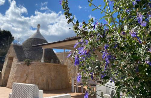 Putignano House | Casa vacanze Madre Terra