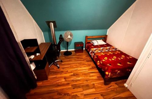 Villarrica House | Casa Villarrica
