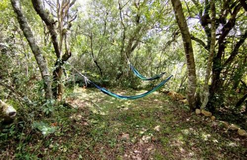 Maldonado Other | Casita del bosque Tao sierras de Aiguá