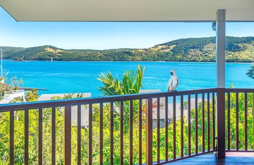 Hamilton Island House | Casuarina 16 - 3 Bedroom House With 180 Degree Ocean Views, Buggy & Valet Service