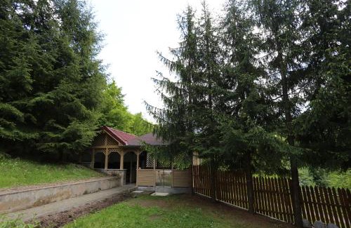 Sugag House | Casuta cu Zorele