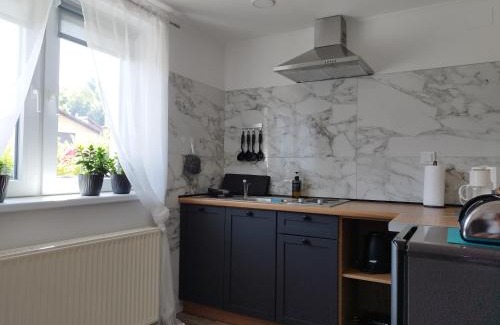 Fuzine Apartment | "Cattus" studio apartman