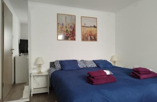 Fuzine Apartment | "Cattus" studio apartman