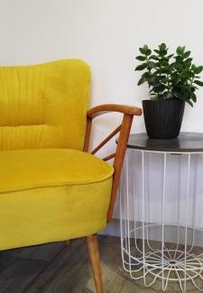 Fuzine Apartment | "Cattus" studio apartman