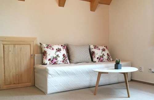 Janske Lazne Bed & Breakfast | Cedrovka