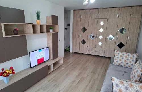 Bacau Apartment | Central EvaApartments 2