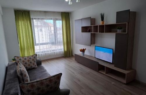 Bacau Apartment | Central EvaApartments 2