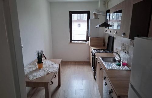 Bacau Apartment | Central EvaApartments 2
