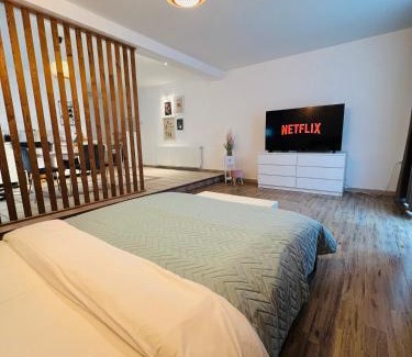 Targoviste Apartment | Central Loft Studio Târgoviște