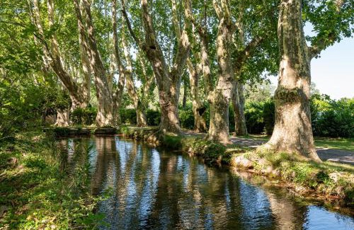 Mouries Hotel | Château de Servanes
