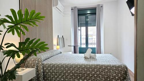 Centro House | CH Rayuela