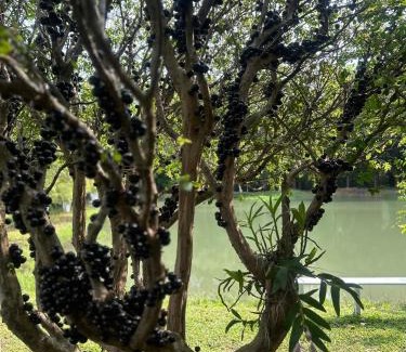 Foz do Iguacu House | Chacara com Piscina e Pesca - Prox dos Principais pontos turisticos