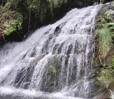 Nova Friburgo House | Chalé da Cachoeira - Cachoeira particular dentro da hospedagem