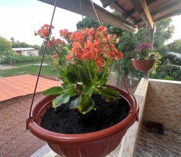 Acu da Torre Apartment | Chalés da Poliana